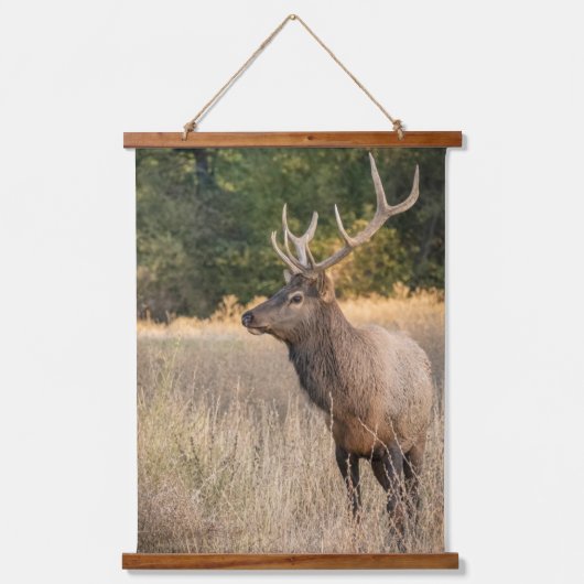 Bull Roosevelt Elk in gras | Staat Washington Hangend Wandkleed (Voorkant)