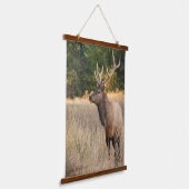 Bull Roosevelt Elk in gras | Staat Washington Hangend Wandkleed (Gebogen)