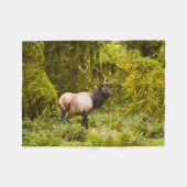Bull Roosevelt Elk permanent in beemdje Fleece Deken (Voorkant (Horizontaal))