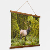 Bull Roosevelt Elk permanent in beemdje Hangend Wandkleed (Gebogen)