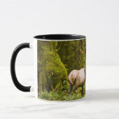 Bull Roosevelt Elk permanent in beemdje Mok (Links)