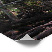 Bull Run Trail Poster (Hoek)