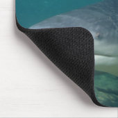 Bull Shark - Carcharhinus leucas Muismat (Hoek)