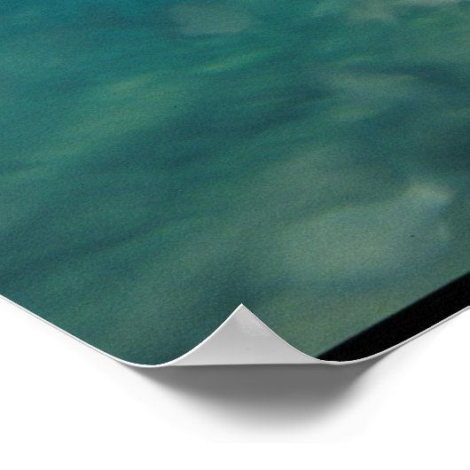 Bull Shark - Carcharhinus leucas Poster (Hoek)