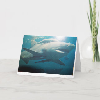 Bull Shark wenskaart Kaart