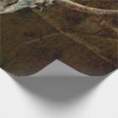 Bull Skull Western Land Brown Old Rustige Grunge Cadeaupapier (Hoek)