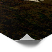 Bull Skull Western Land Brown Old Rustige Grunge Poster (Hoek)