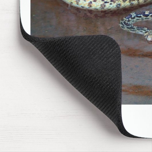 Bull Snake Muismat (Hoek)