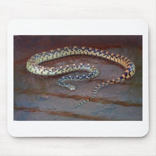 Bull Snake Muismat (Voorkant)