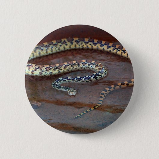 Bull Snake Ronde Button 5,7 Cm (Voorkant)