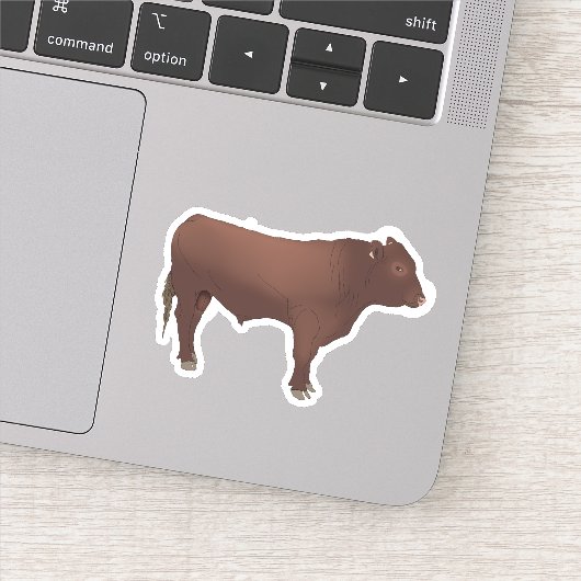 Bull sticker (Detail)