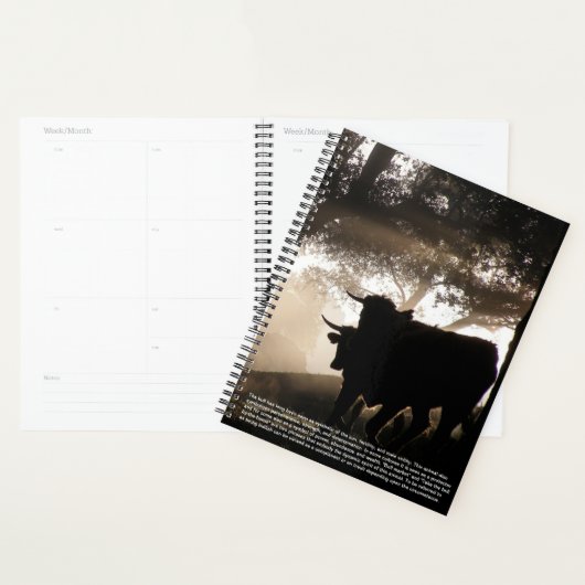 Bull Symboliek Kalender Planner (Display)