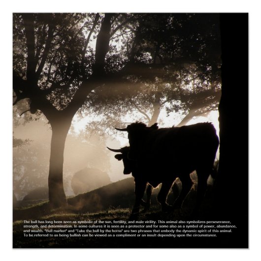 Bull Symboliek Perfect Poster (Voorkant)