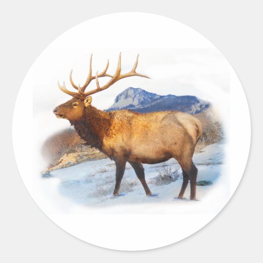Bull T Idee.pdf Ronde Sticker (Voorkant)