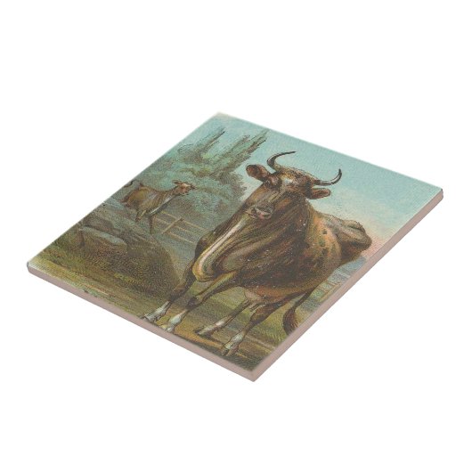 Bull Tegeltje (Zijkant)