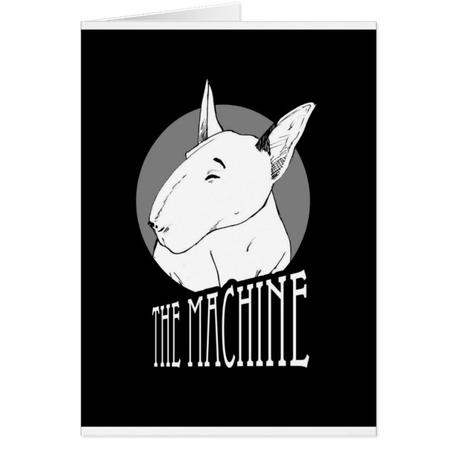 bull terrier (Voorkant)