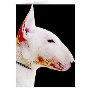 Bull Terrier