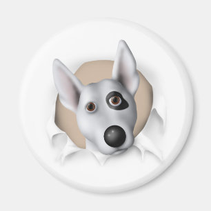 Bull Terrier (Amerikaans) Busting Out Magneet