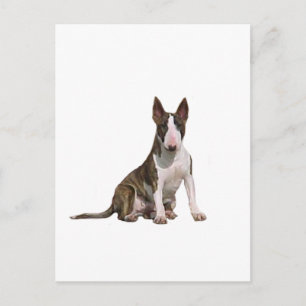 Bull Terrier (B) - Brindle en white Briefkaart