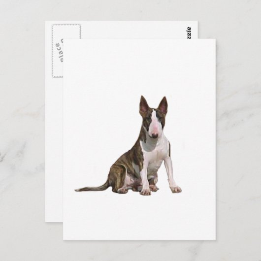 Bull Terrier (B) - Brindle en wit Briefkaart (Voorkant / Achterkant)