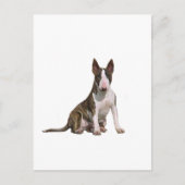 Bull Terrier (B) - Brindle en wit Briefkaart (Voorkant)