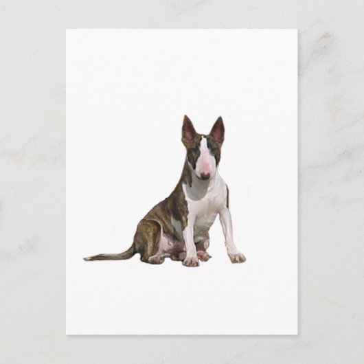 Bull Terrier (B) - Tigrestrepen en wit Briefkaart (Voorkant)