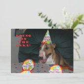 Bull Terrier Birthday Party Invitations Kaart (Staand voorkant)