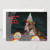 Bull Terrier Birthday Party Invitations Kaart (Voorkant / Achterkant)