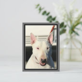 Bull Terrier Briefkaart (Staand voorkant)