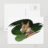 Bull Terrier Briefkaart (Voorkant / Achterkant)