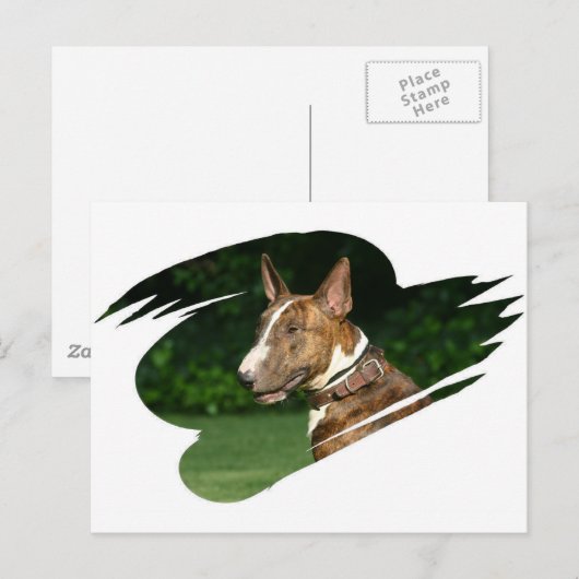 Bull Terrier Briefkaart (Voorkant / Achterkant)