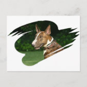 Bull Terrier Briefkaart (Voorkant)