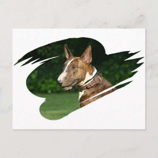 Bull Terrier Briefkaart (Voorkant)