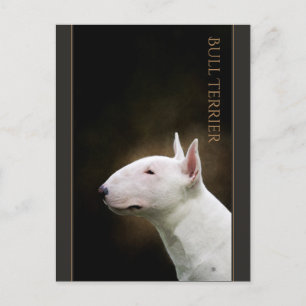 Bull Terrier Briefkaart