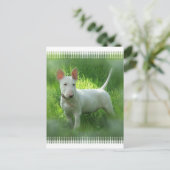 Bull Terrier Briefkaart (Staand voorkant)