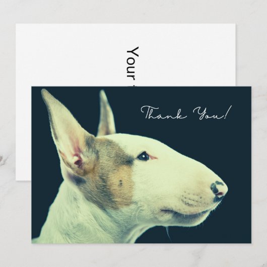 Bull Terrier - dank je creditcard Bedankkaart (Voorkant / Achterkant)