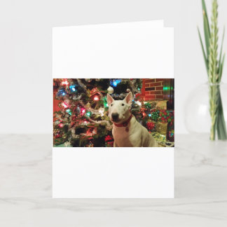 bull terrier de huidige boom van Kerstmis Feestdagen Kaart