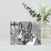 Bull Terrier Dog Briefkaart (Staand voorkant)