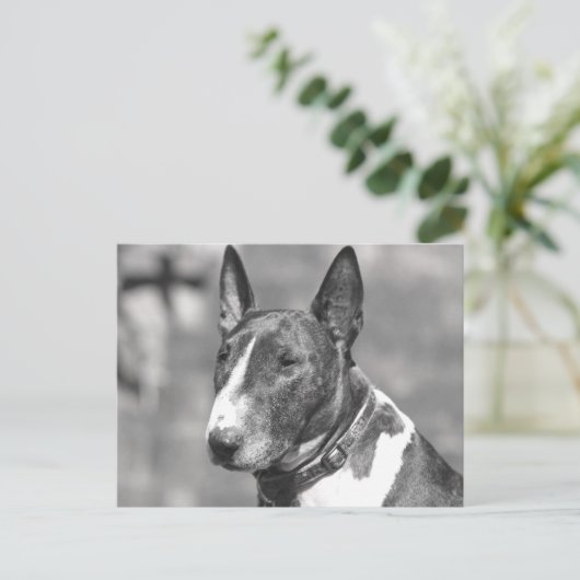 Bull Terrier Dog Briefkaart (Staand voorkant)