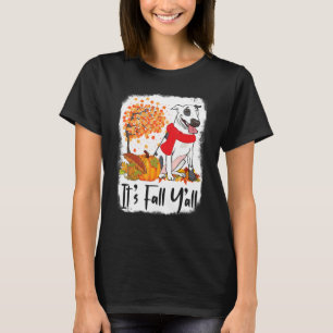 Bull Terrier Dog Pumpkin Autumn Thanksgiving Het i T-shirt