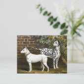  Bull Terrier en Dalmatische hondenkunst Briefkaart (Staand voorkant)