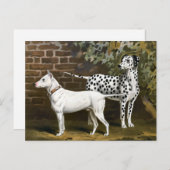  Bull Terrier en Dalmatische hondenkunst Briefkaart (Voorkant / Achterkant)
