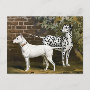 Bull Terrier en Dalmatische hondenkunst Briefkaart