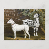  Bull Terrier en Dalmatische hondenkunst Briefkaart (Voorkant)