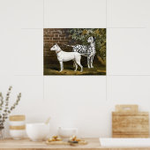  Bull Terrier en Dalmatische hondenkunst Poster (Keuken)