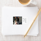 Bull Terrier Etiket (Insitu)