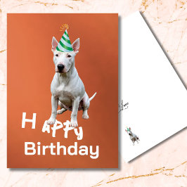 Bull Terrier Hond Happy Birthday Wenskaart