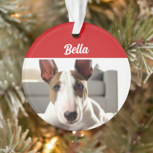 Bull Terrier Hond Vakantiefoto Kerstmis Ornament