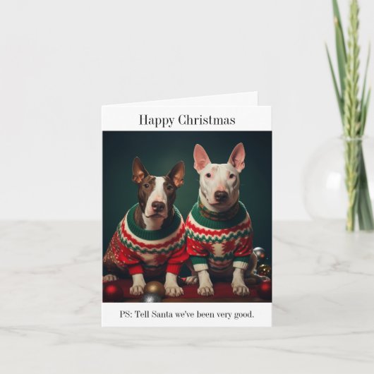 Bull Terrier Honden in Kersttruien Kaart (Voorkant)