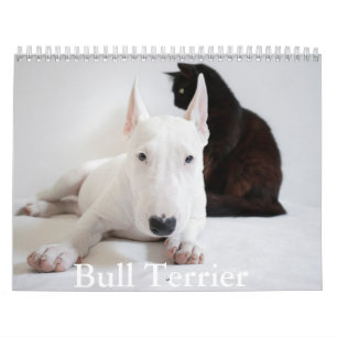Bull Terrier hondenkalender Kalender